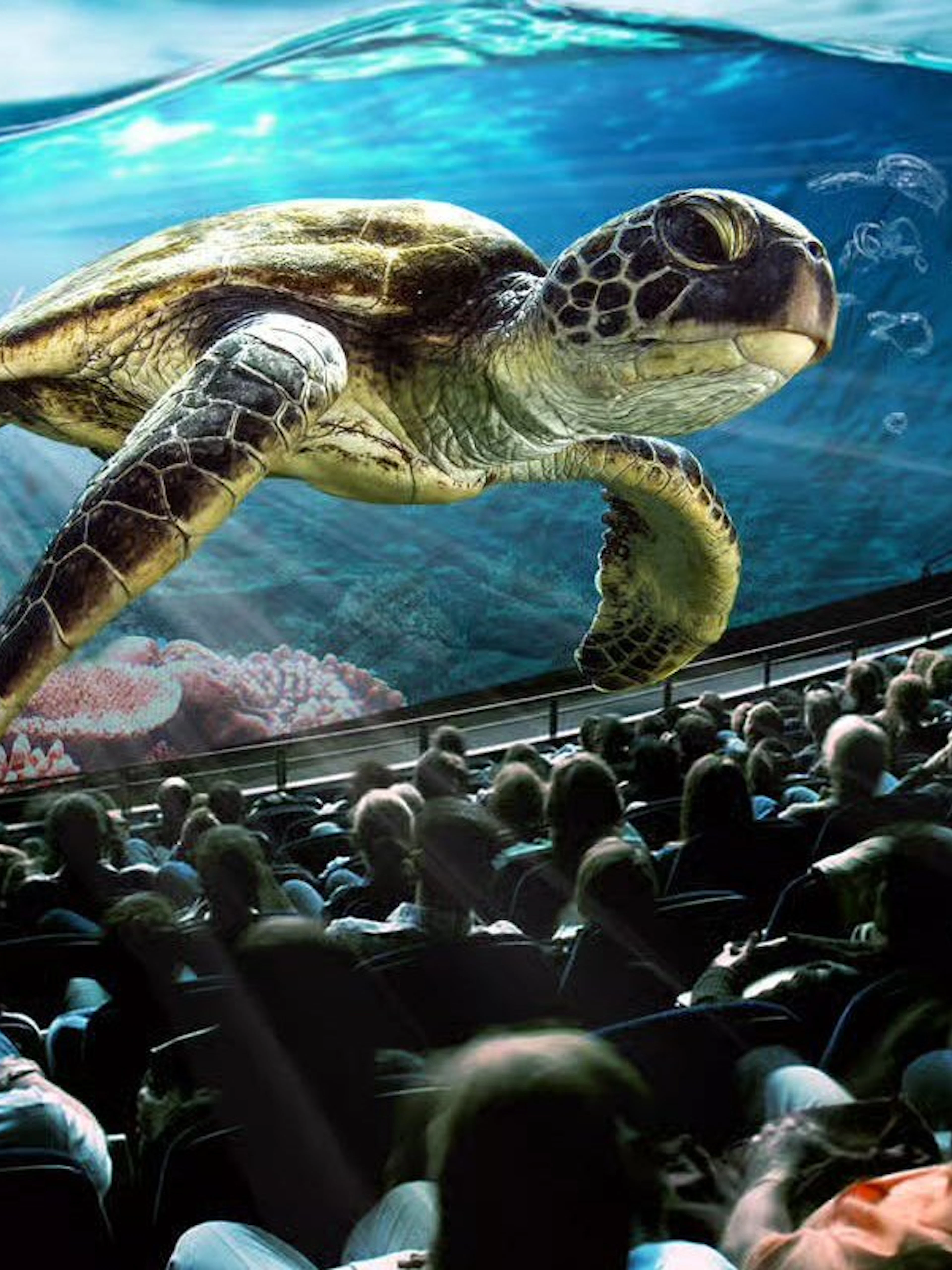 Audience watching underwater film at Museum of Transport theater, Lucerne.