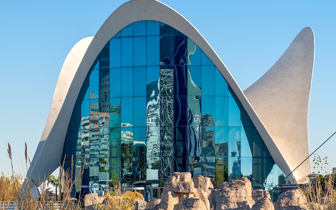 Eventos do Oceanográfico de Valencia