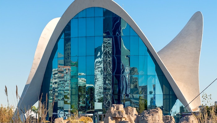Oceanografic Valencia aquarium exterior with futuristic architecture and water reflections.