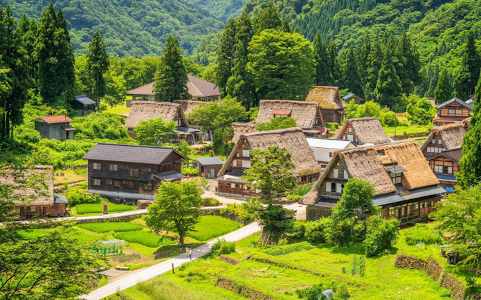 Traditional gassho-style houses in Ainokura, Toyama, Japan, surrounded by lush greenery in the Gokayama region.