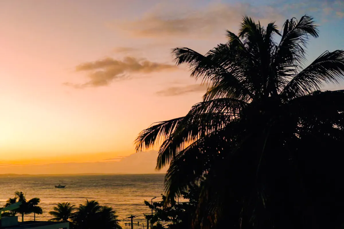 Sunset view with palm trees and ocean in Pipa Village, Sao Paulo.