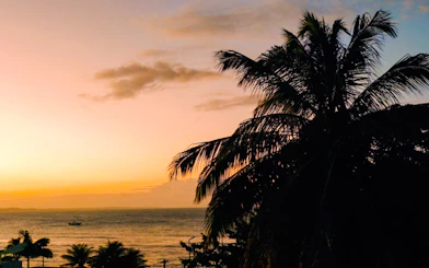 Sunset view with palm trees and ocean in Pipa Village, Sao Paulo.