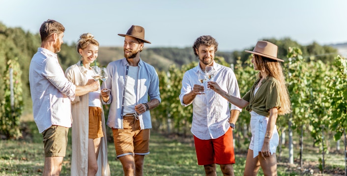 Book Wine Tours in Provence