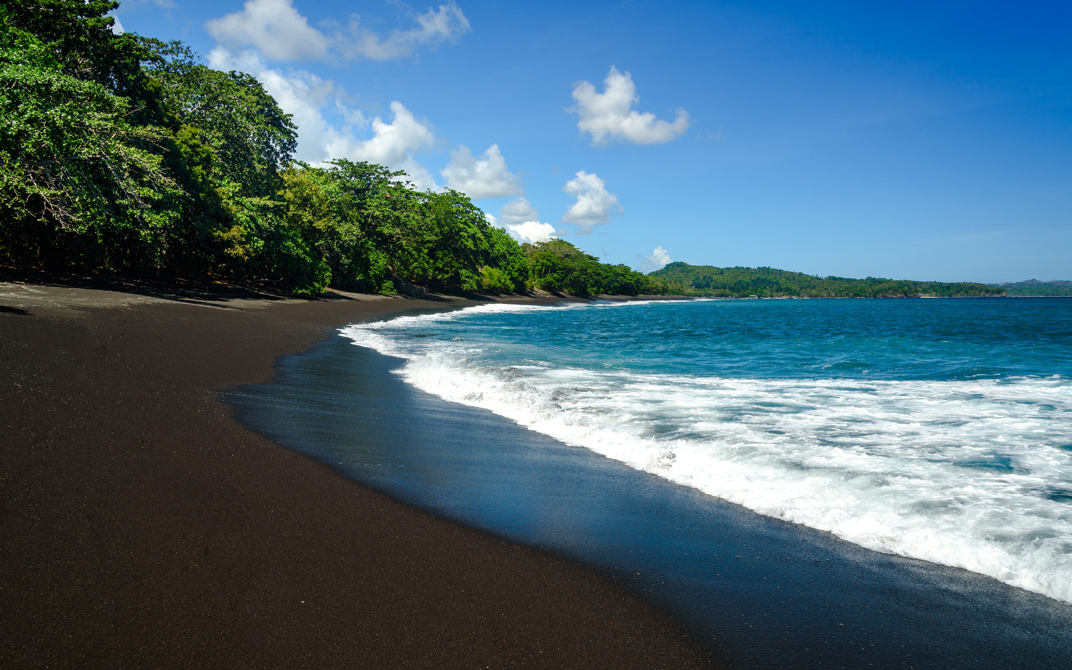 Black sand volcanic beach with lush green trees and ocean waves.