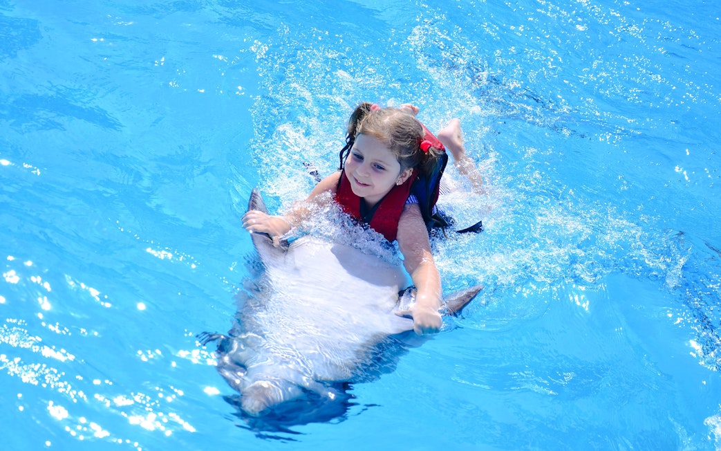 Child enjoying a swim with a dolphin during the Private Dolphin Swim Adventure.