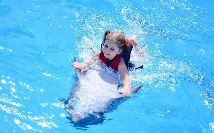 Child enjoying a swim with a dolphin during the Private Dolphin Swim Adventure.