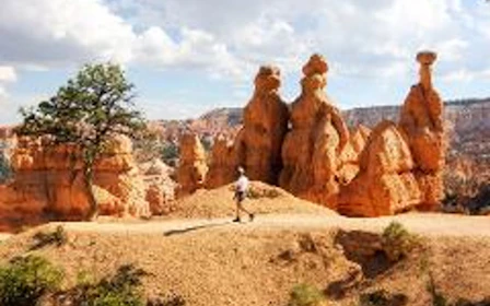 Vegas: Bryce & Zion Luxury Boutique Scenic Tour with Lunch