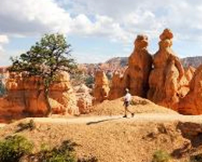 Vegas: Bryce & Zion Luxury Boutique Scenic Tour with Lunch