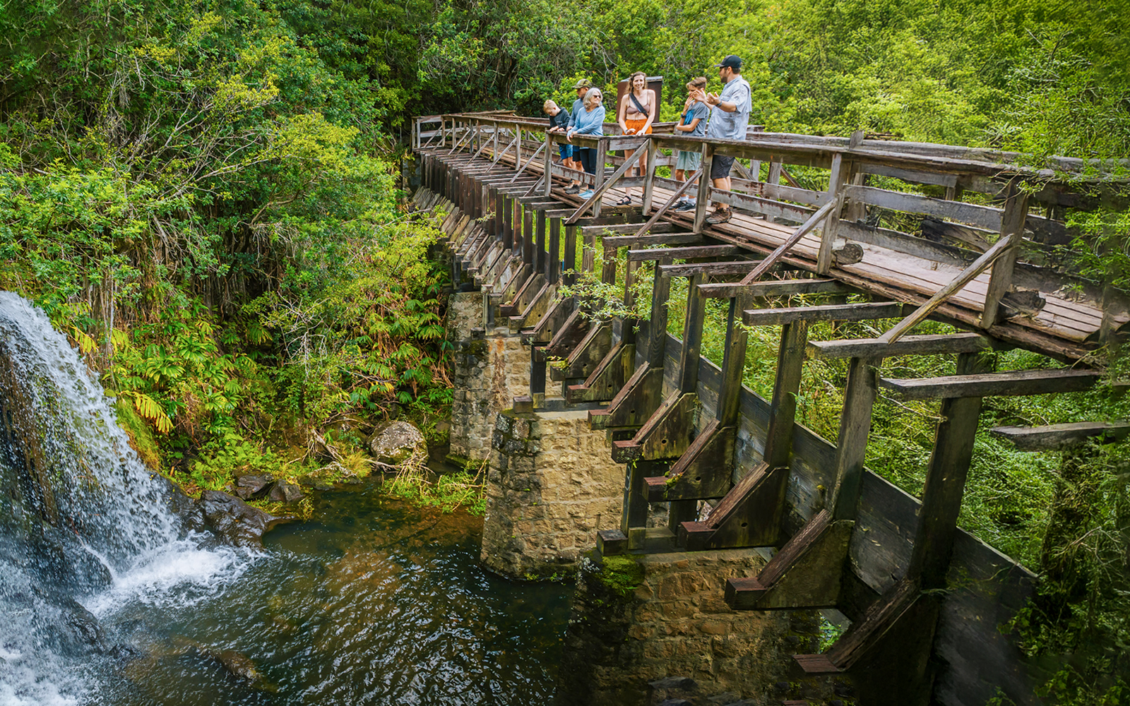 Guests walking on a wooden bridge near Kohala Waterfalls, surrounded by lush greenery.