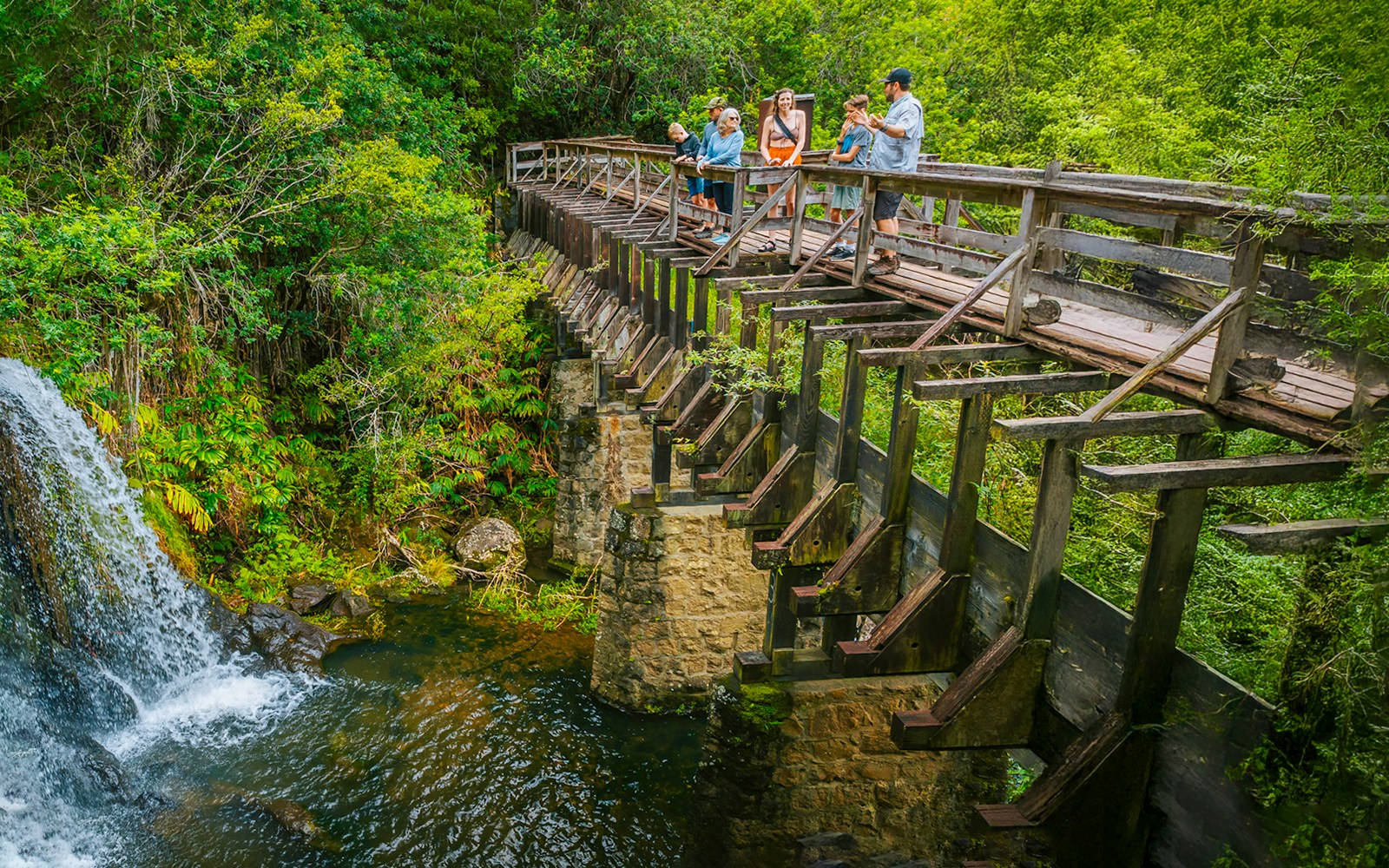 Guests walking on a wooden bridge near Kohala Waterfalls, surrounded by lush greenery.