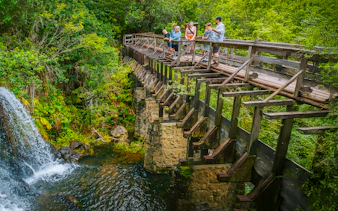Guests walking on a wooden bridge near Kohala Waterfalls, surrounded by lush greenery.