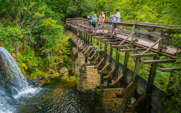 Guests walking on a wooden bridge near Kohala Waterfalls, surrounded by lush greenery.