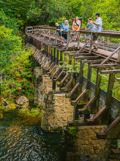 Guests walking on a wooden bridge near Kohala Waterfalls, surrounded by lush greenery.