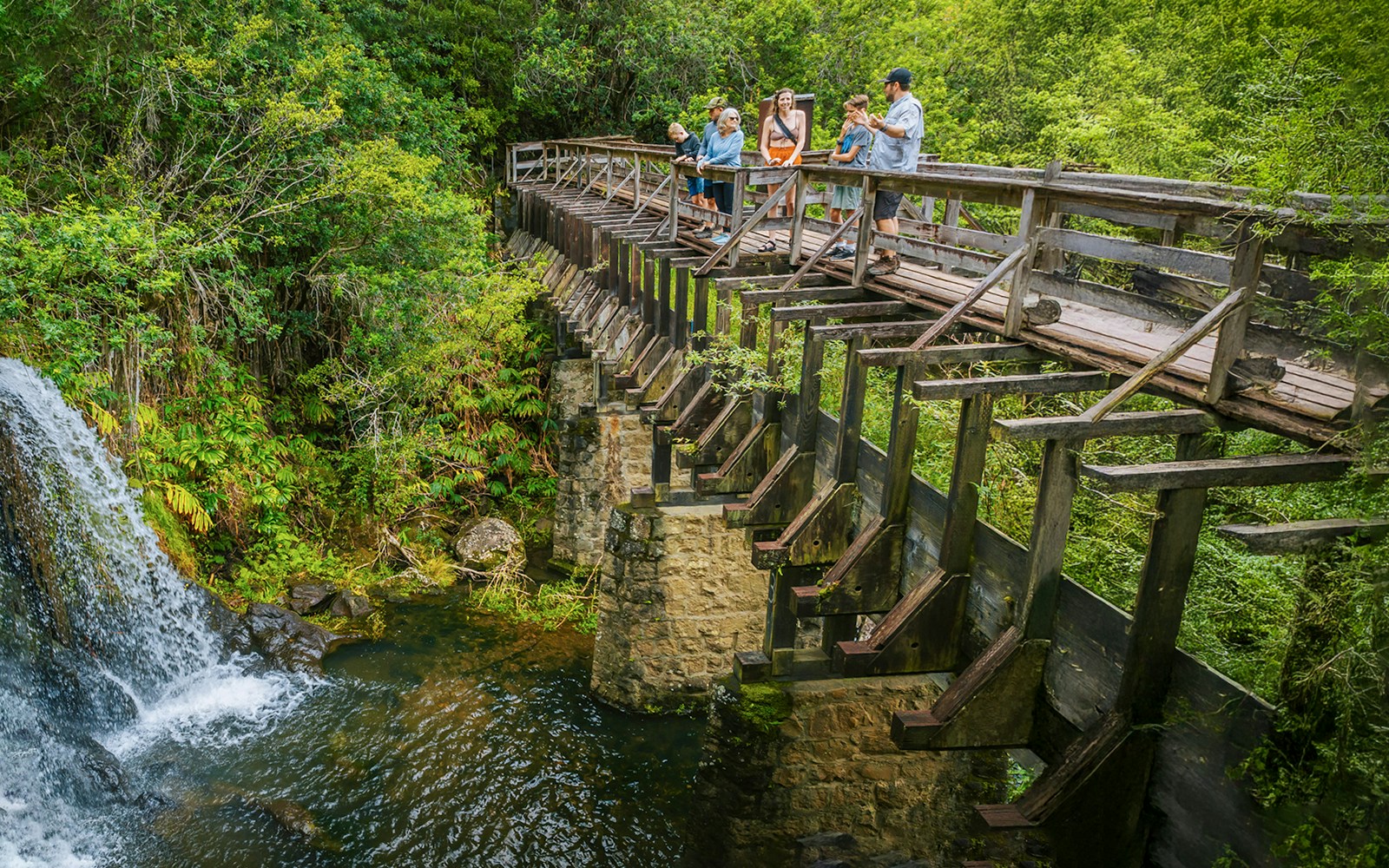 Guests walking on a wooden bridge near Kohala Waterfalls, surrounded by lush greenery.