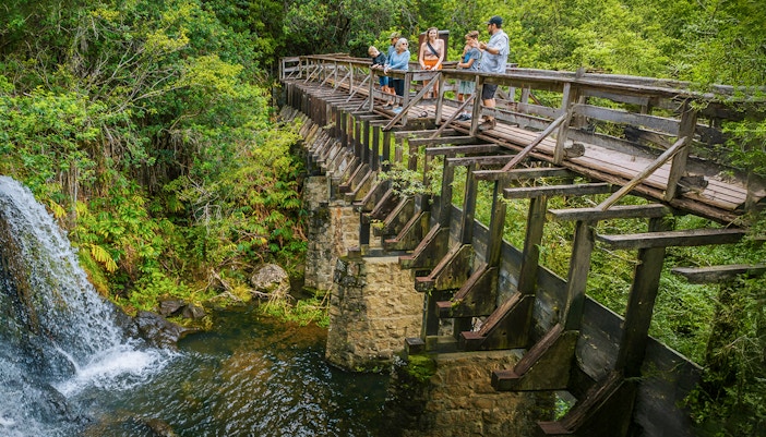 Guests walking on a wooden bridge near Kohala Waterfalls, surrounded by lush greenery.