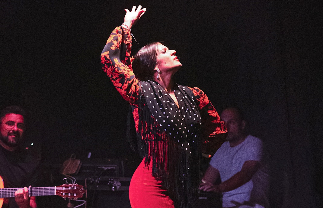 Flamenco Shows