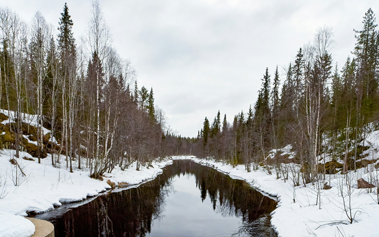 Snowy river landscape with bare trees in Finnish Lapland.