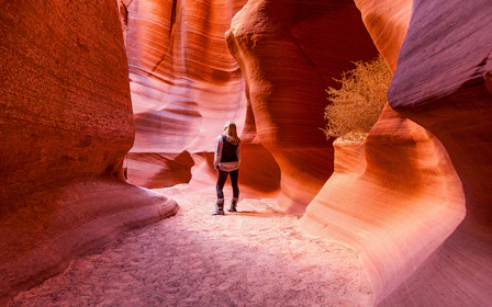 Antelope Canyon X Tour with Navajo Guide