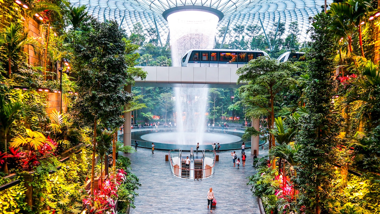 Jewel Changi Airport Forest Valley