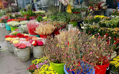 Ho Chi Minh City Ho Thi Ky Flower Market & Hidden Garden Cafe Walking Tour