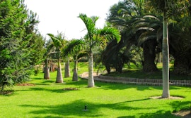 Al Funun Garden