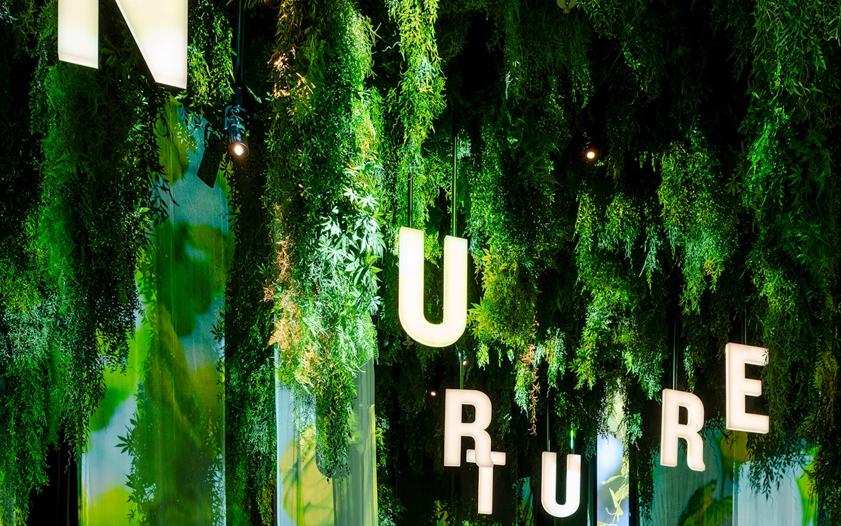 Hanging greenery and illuminated letters inside Guinness Storehouse exhibit.