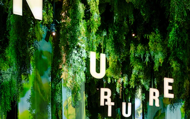 Hanging greenery and illuminated letters inside Guinness Storehouse exhibit.