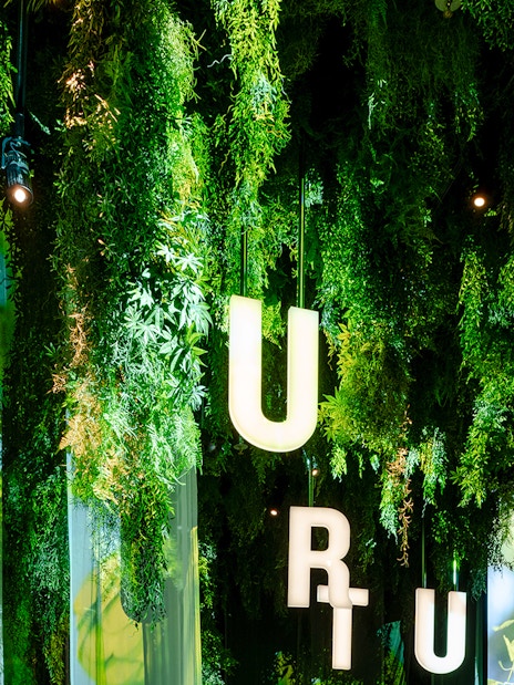 Hanging greenery and illuminated letters inside Guinness Storehouse exhibit.