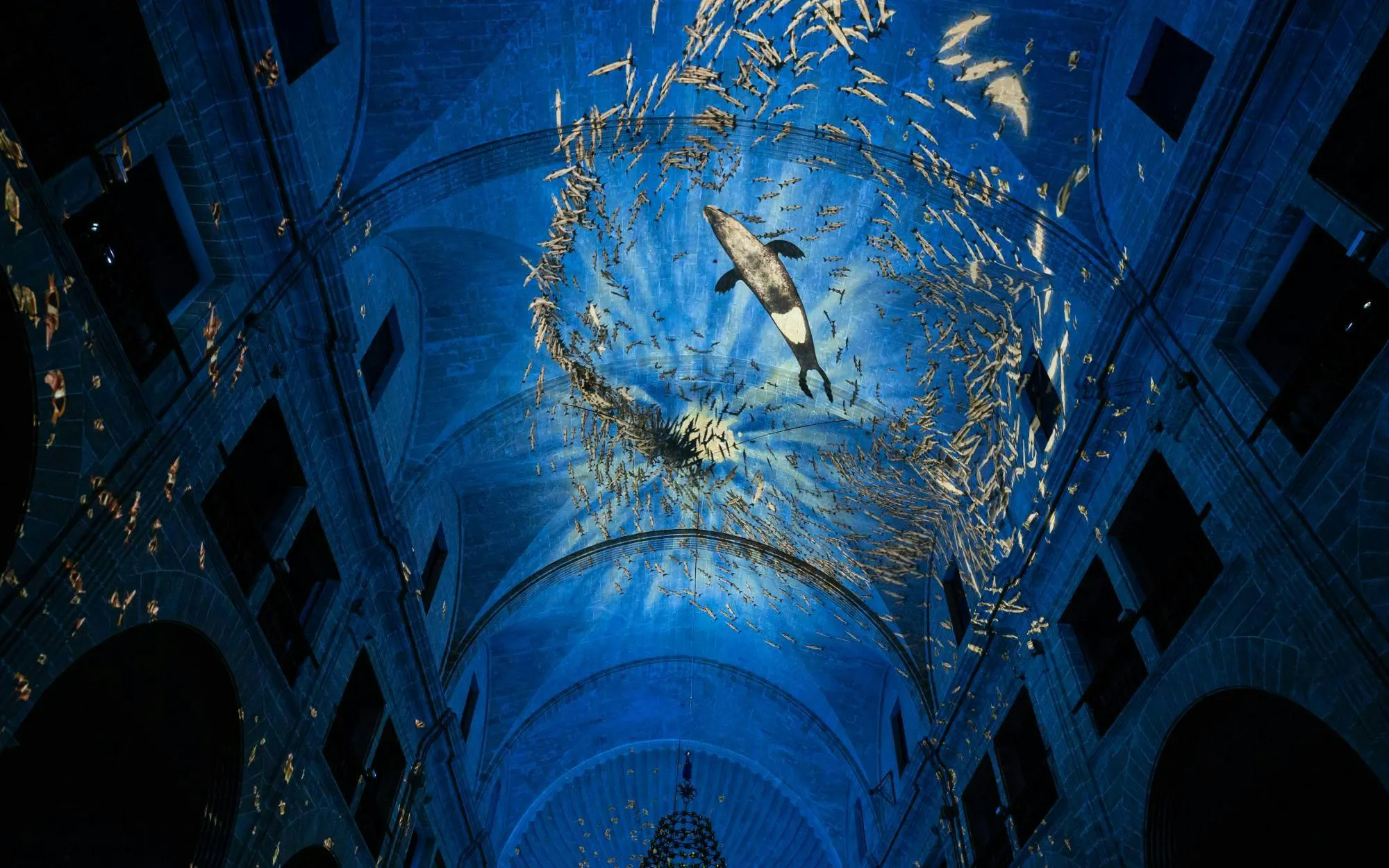 Immersive audiovisual show with whale projection inside Església dels Sagrats Cors, Palma de Mallorca.