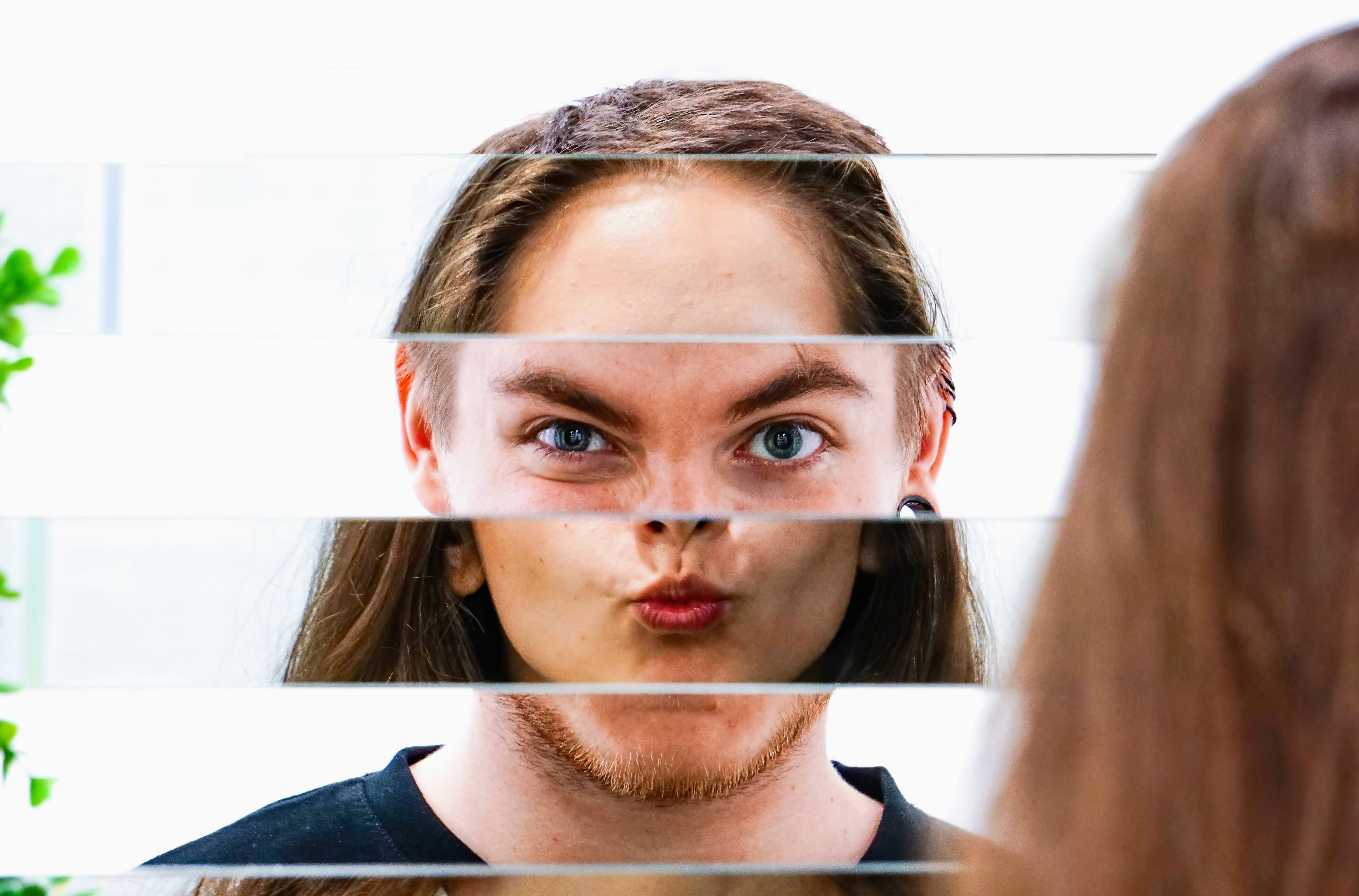 Changing Faces Hedge