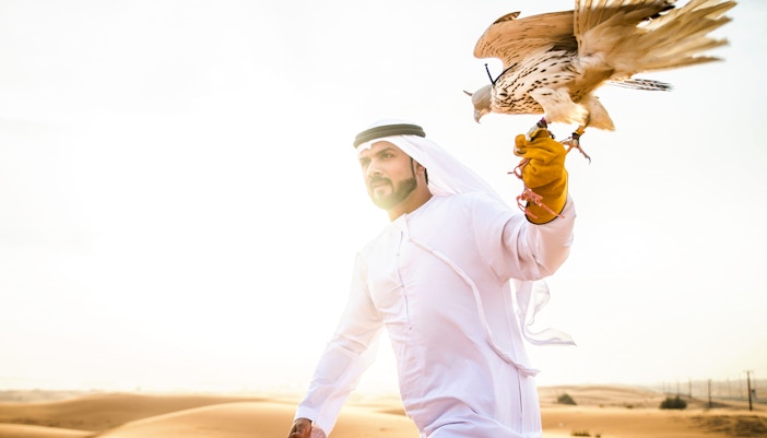 A person with a falcon in his hand