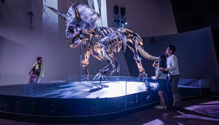 Triceratops skeleton exhibit at Melbourne Museum with visitors observing.