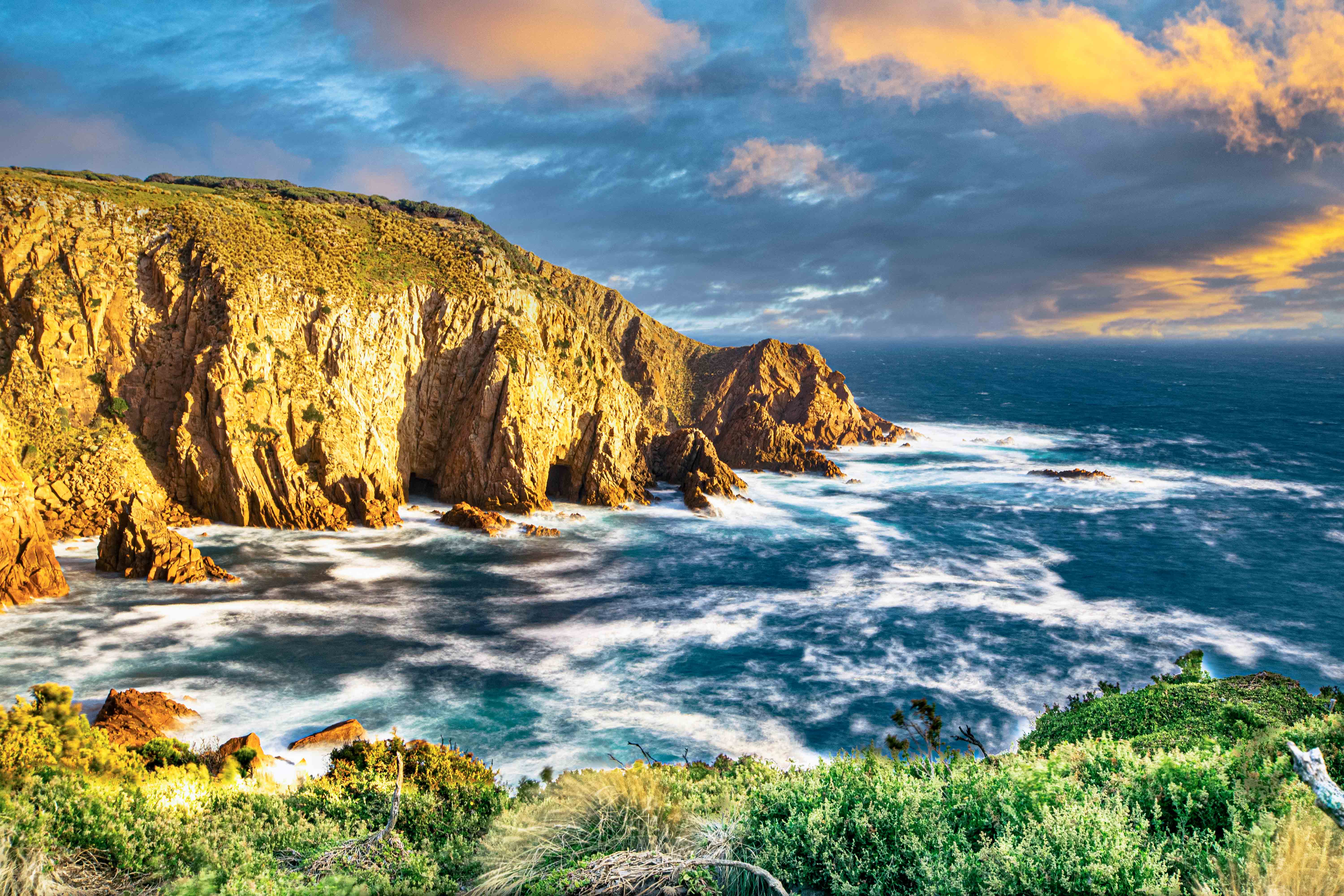 Phillip Island Cruises - Phillip Island Afternoon Cruise experience