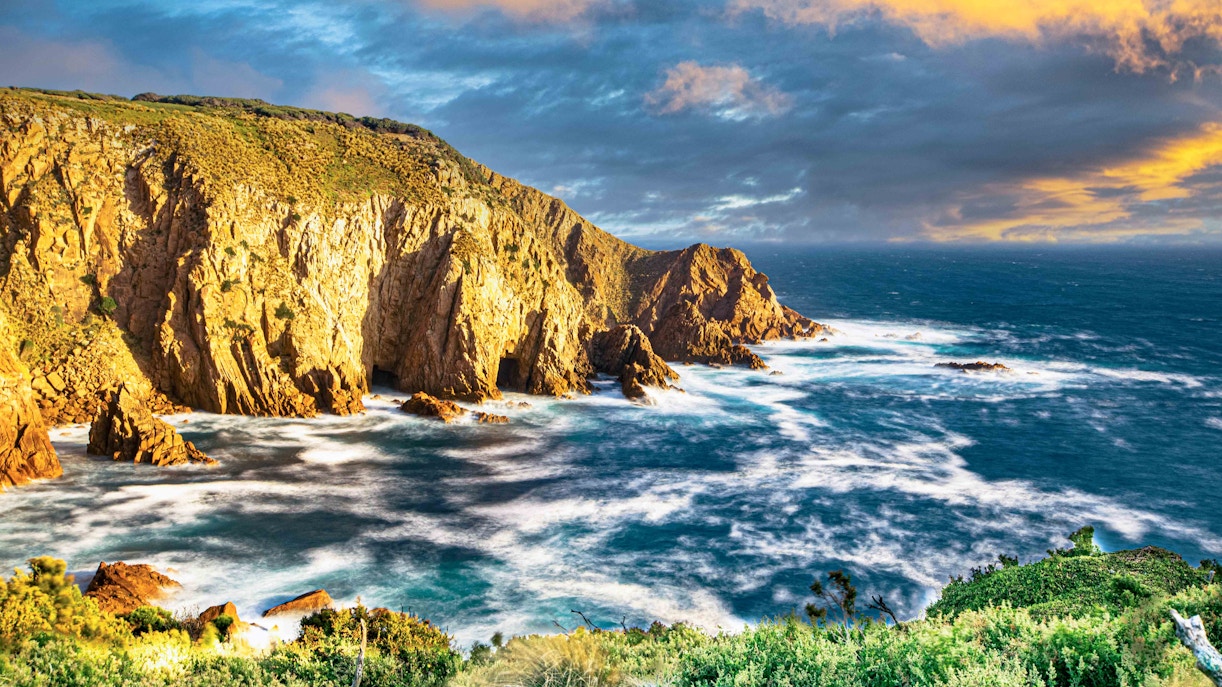 A Maze'N Things Tickets