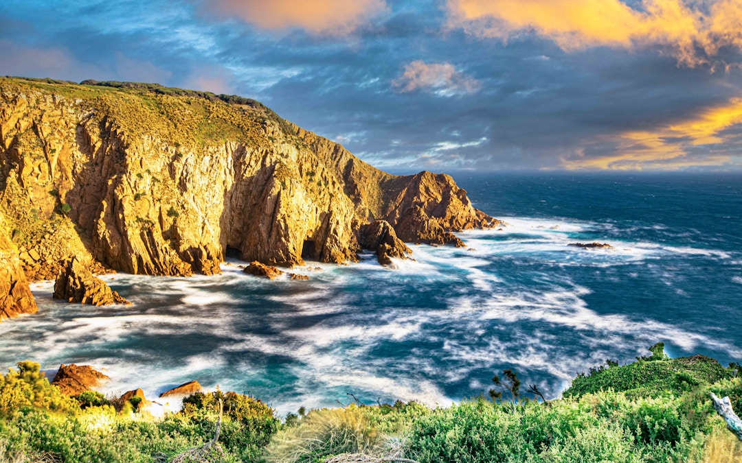 Phillip Island Cruises - Phillip Island Afternoon Cruise experience