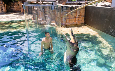 Guest in a glass enclosure with a crocodile at Crocosaurus Cove, Darwin.