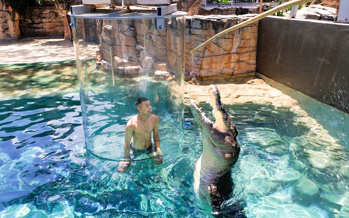 Guest in a glass enclosure with a crocodile at Crocosaurus Cove, Darwin.