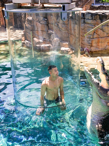 Guest in a glass enclosure with a crocodile at Crocosaurus Cove, Darwin.