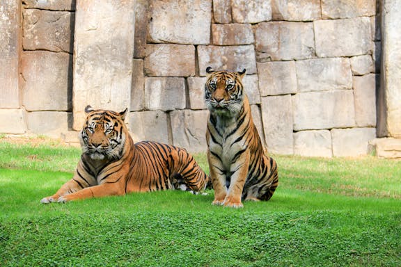 bioparc valencia: entradas sin colas-11