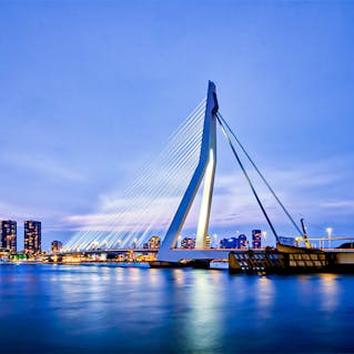 Things To Do In Rotterdam: Attractions, Tours, Activities in 2026