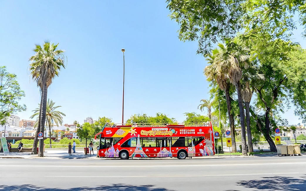 Red city sightseeing hop-on hop-off tour bus in Seville, surrounded by palm trees.