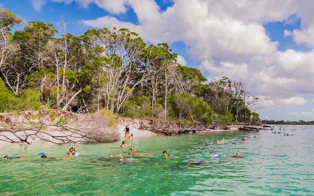 Tourists snorkelling near the shore of Fraser Island, K'gari, with lush greenery in the background.