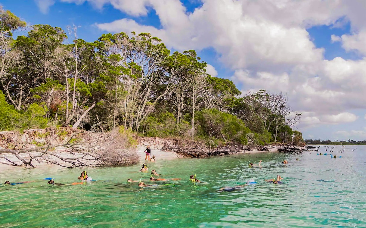 Tourists snorkelling near the shore of Fraser Island, K'gari, with lush greenery in the background.