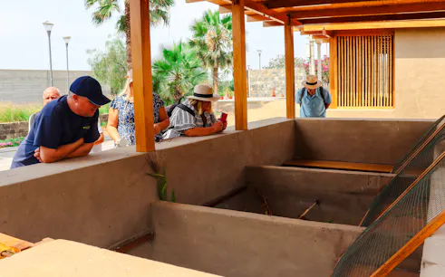 tour guiado ao sítio arqueológico de pachacamac saindo de lima, com transporte incluído-1