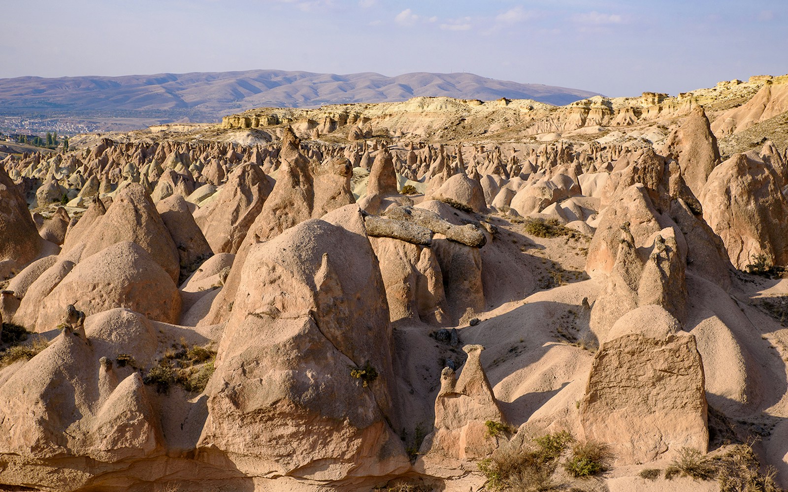 Unique rock formations in Devrent Valley, Cappadocia, Turkey.