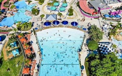 Aerial view of wave pool and sunbathers at Adventure Island, Tampa.
