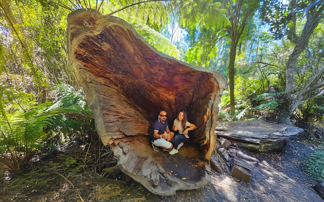 Couple sitting inside a large hollow tree along the Great Ocean Road forest walk.