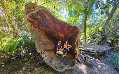 Couple sitting inside a large hollow tree along the Great Ocean Road forest walk.