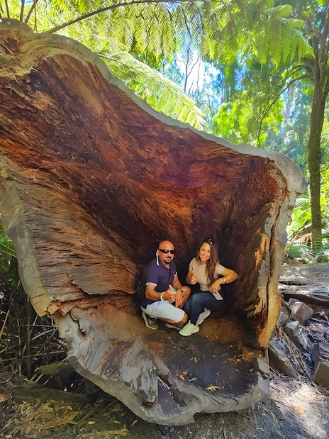 Couple sitting inside a large hollow tree along the Great Ocean Road forest walk.