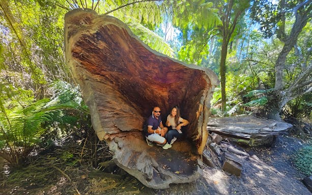 Couple sitting inside a large hollow tree along the Great Ocean Road forest walk.
